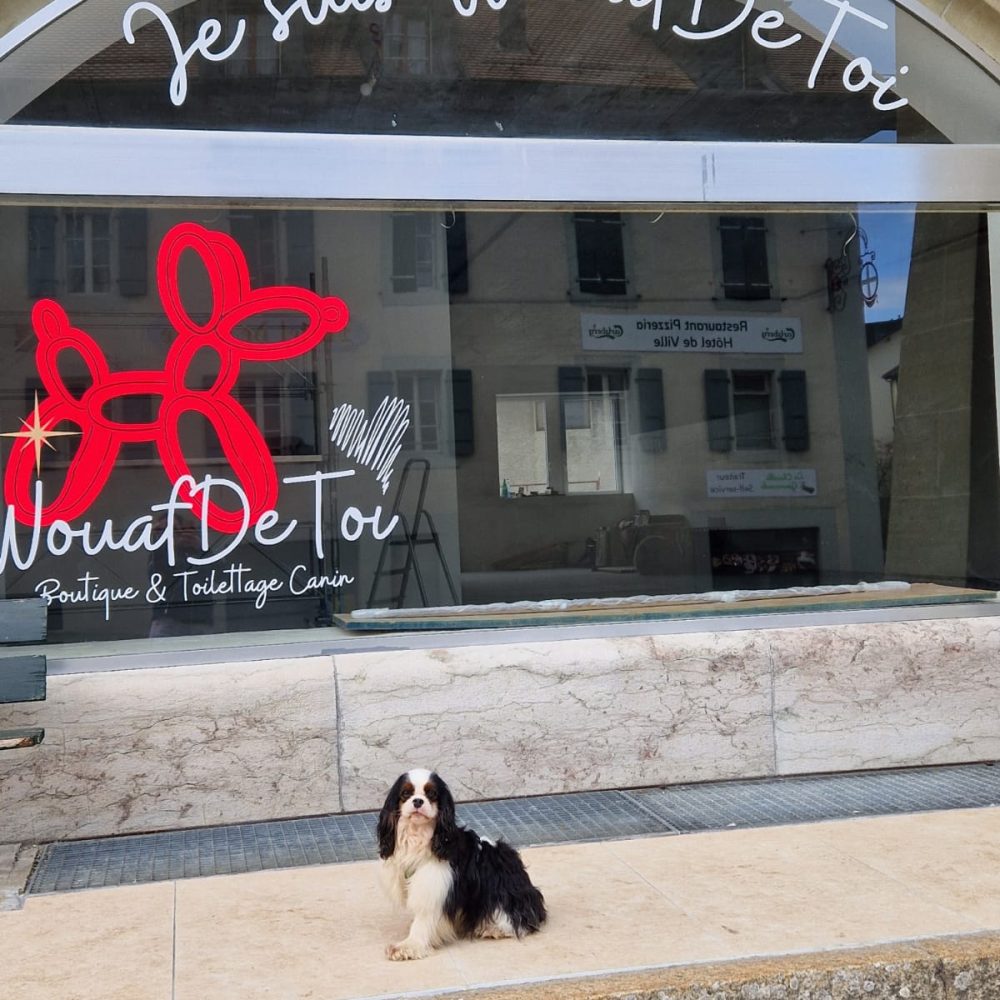 Boutique Canine entre Vaud et Fribourg